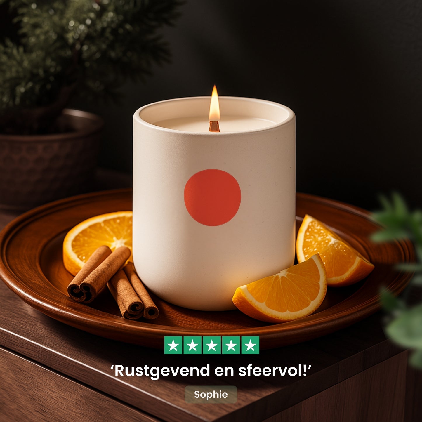 Bloei